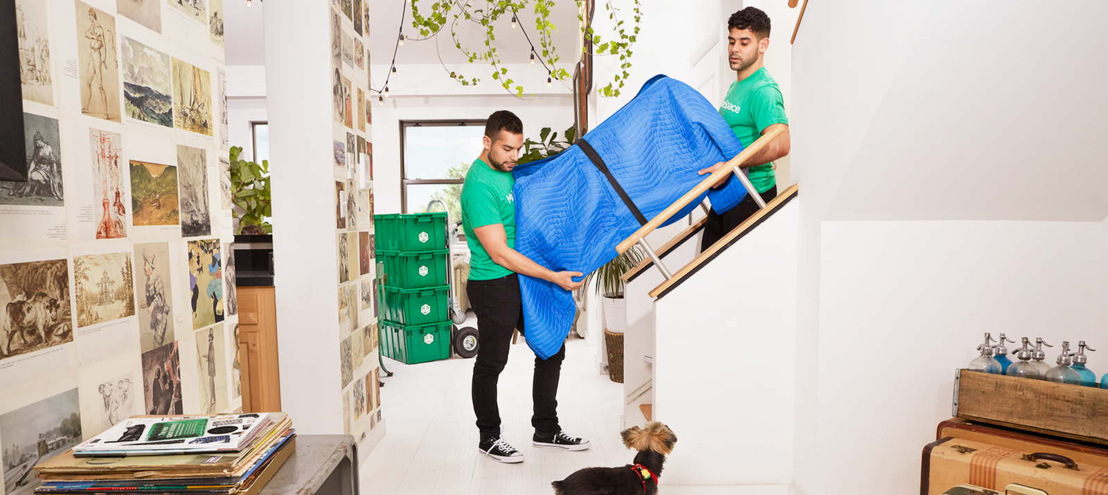 8-expert-solutions-for-your-toughest-moving-problems