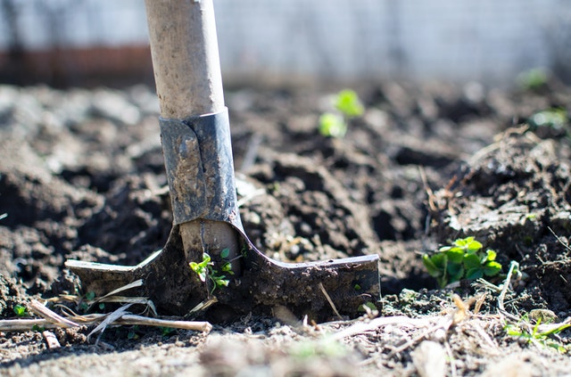 A gardening tool in soil