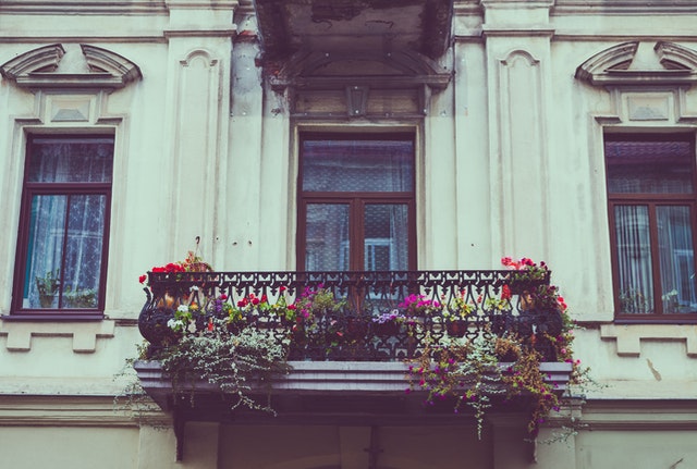 A front view of flowers and plants on a terrace