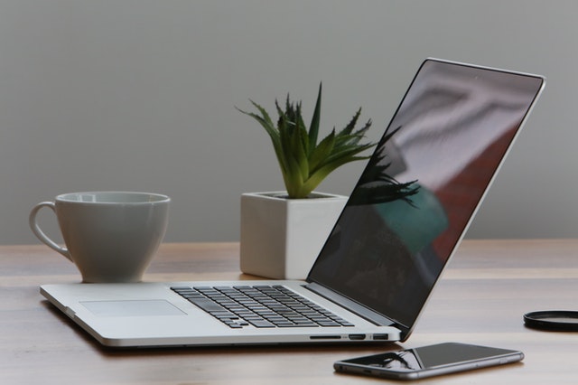 a small succulent next to a laptop seen sideways